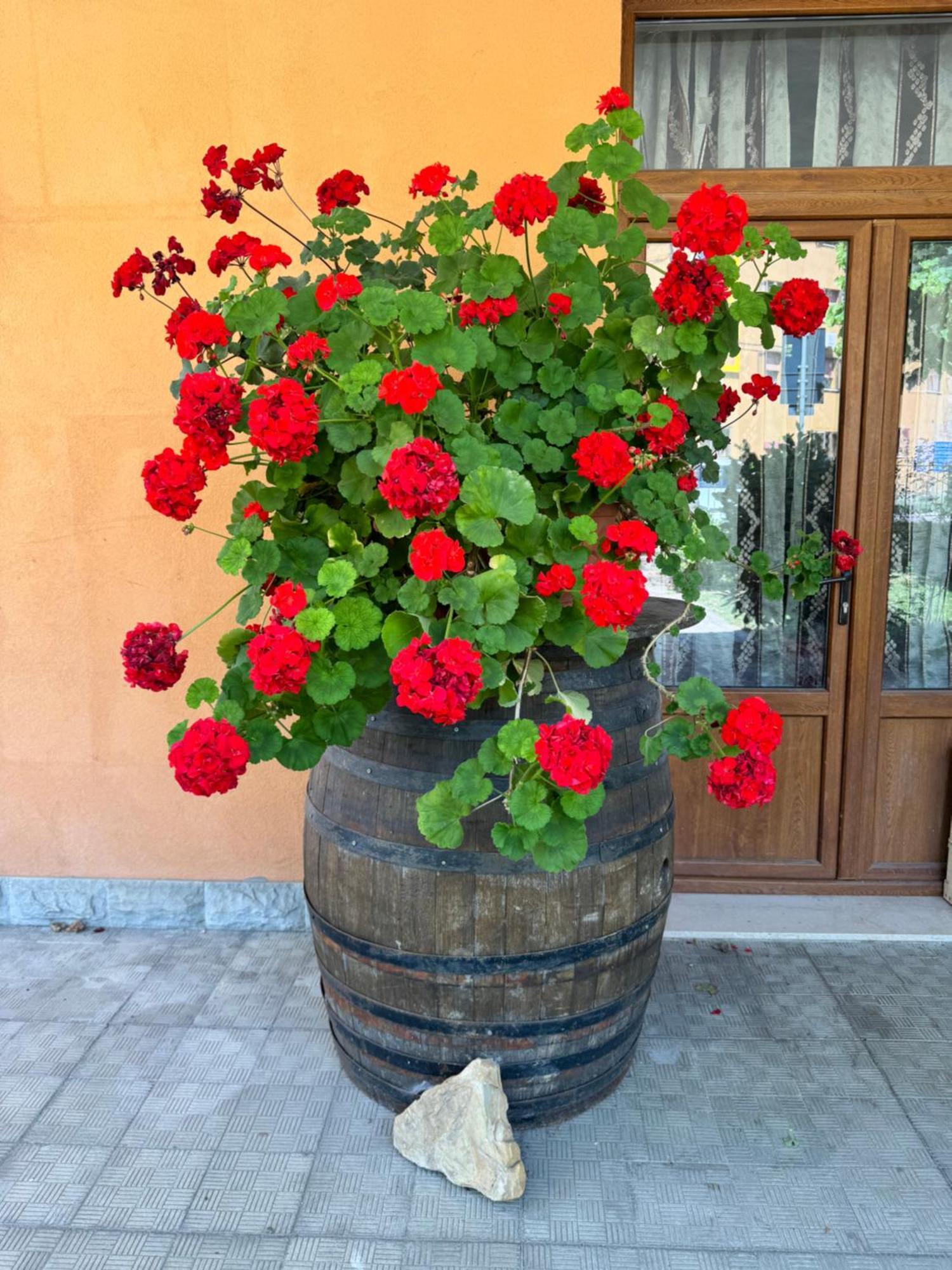 B&B Romani Madonna di Fornelli Buitenkant foto